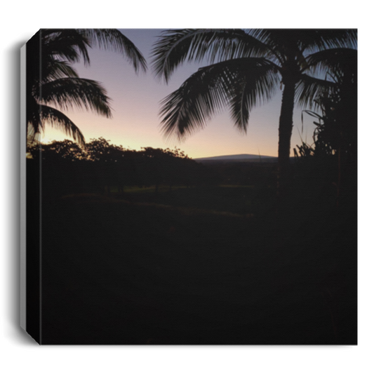 Wall Art Photo Wrapped Canvas Palm Trees Night Sky Hawaii 1.5